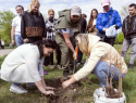 Луганчане высадили 150 деревьев в парке «Дружба» 