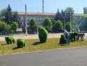В Луганске на улице Оборонной появились зеленые медведи