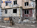  «В Русском Поречном не выжил никто»: политик из ЛНР рассказал, что ВСУ сотворили под Курском