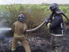 В Антрацитовском районе ЛНР бушуют масштабные пожары, есть погибшие