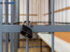 Правоохранители ЛНР направили в суд дело против гранатометчика из батальона «Айдар»*