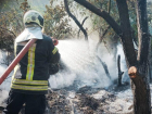 Почти 110 гектаров природы ЛНР уничтожено пожаром