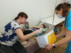 Детское отделение Станично-Луганского ТМО получило игрушки от Волгограда