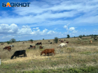 Участники и ветераны СВО из ЛНР смогут получить грант для запуска агробизнеса