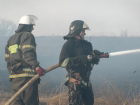 Число ландшафтных пожаров в ЛНР растет