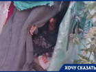 «Даже скотину жалко»: пожилой луганчанин второй год живет на улице в тряпичном шалаше 