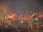 Частные хозяйства горят из-за природных пожаров в ЛНР