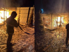 В Луганске ночью полыхал вольер