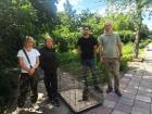 И зеленая мартышка жила у любителя экзотики из Стаханова ЛНР