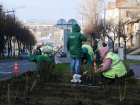 10 тысяч роз высадят на реконструированной улице Советской в Луганске 