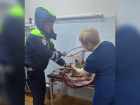 Сотрудники Госавтоинспекции ЛНР спасли раненую собаку
