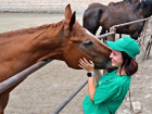 Студенты из Луганска побывали на экскурсии по Деркульскому конному заводу 