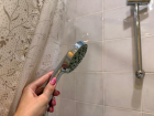 В Луганске 24 августа отключат воду на десятках улиц