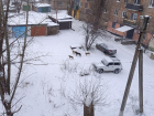 Стая бездомных собак терроризирует Горняцкий: дети боятся выходить на улицу