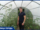 Могучий Шрек и Гном стринги: что выращивает в теплицах огородник из Луганска