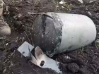 В Троицком районе ЛНР сбили беспилотник, начиненный ядом