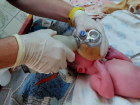 Вдохнули жизнь: неонатологи из Красного Луча спасли новорожденного малыша 