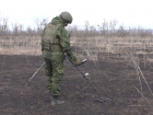 Саперы в ЛНР за день обезвреживают десятки боеприпасов 