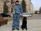 Полицейский-кинолог и его четвероногий напарник поздравили жительниц ЛНР с 8 марта 