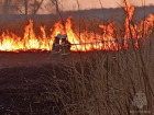 В Новоайдарском районе ЛНР разгорелся природный пожар