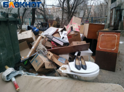 Луганские студенты принялись за уборку улиц города