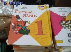 Перенос контрольной по здоровью и бесплатный психолог: на что имеют право школьники из ЛНР