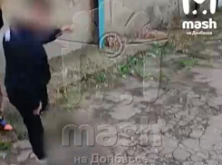 Полиция ЛНР установила личности живодёров, которые издевались над мёртвым котёнком