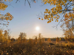 В пятницу в Луганске потеплеет, а тучи развеются