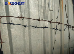 В Луганске осудили 21 участника наркокартеля: сроки до 13 лет