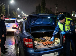 Арсенал в багажнике: в Славяносербске задержан водитель с боеприпасами