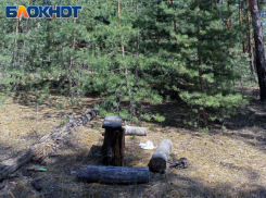 С начала СВО пиротехники обезвредили более 50 тысяч взрывоопасных предметов в ЛНР и ДНР