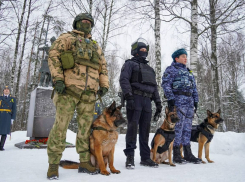 Пока бесплатно: в ЛНР владельцам оружия нужно пройти перерегистрацию