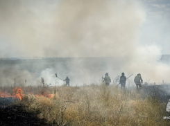 В ЛНР почти сутки тушили масштабный пожар