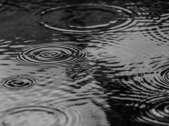 21 ноября в Луганске: дождь утром, тепло днем