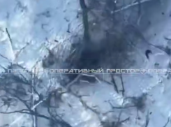 Новости СВО: ВСУ уничтожили своих бойцов, сдавшихся в плен ВС РФ, российские бойцы заняли опорник в Закотном и освободили Дегтярное