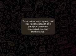 Развратный канал ПВЗ OZON и Wildberries в Телеграм заблокирован после публикации в «Блокнот Луганск»