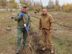 Северодонецк ЛНР озеленяют после боевых действий