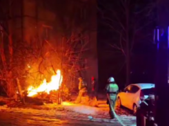 Живодеры подожгли будку с бродячими собаками в Луганске