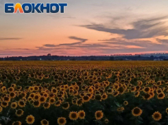 Предприятия ЛНР намерены выйти на международные рынки: от муки до водки