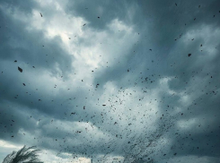 Ветер принёс похолодание в ЛНР