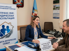 Как получить юридическую консультацию в Минтрансе ЛНР: график работы «горячей линии»