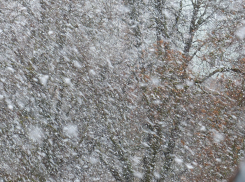 Погода проверит на прочность: что ждет ЛНР 13 декабря