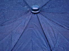 Тепло, но дождливо: погода в ЛНР 13 ноября