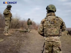Российские войска освободили Новоегоровку в ЛНР