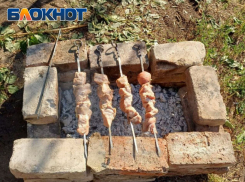 Противопожарный режим в ЛНР: можно ли жарить шашлык на своем участке