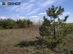 В ЛНР появится гигантский геоглиф «Победа»