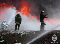 В ЛНР за сутки ликвидировано три пожара — как работали спасатели