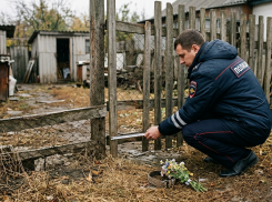 До трех лет тюрьмы: жителя ЛНР будут судить за самосуд над псом