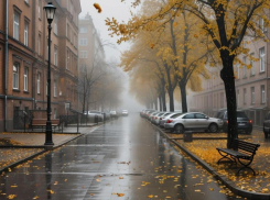 Неделя в ЛНР стартует с дождя 