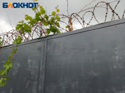 В ЛНР отправили в колонию «украинскую подругу», отплатившую женщине за приют убийством